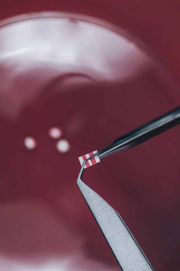 What Is the Role of Micro-Dosing Workouts in Elite Swimmer Training?